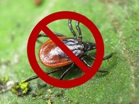 Николай Ташланов принял участие в обсуждении эпидемиологической обстановки в Югре